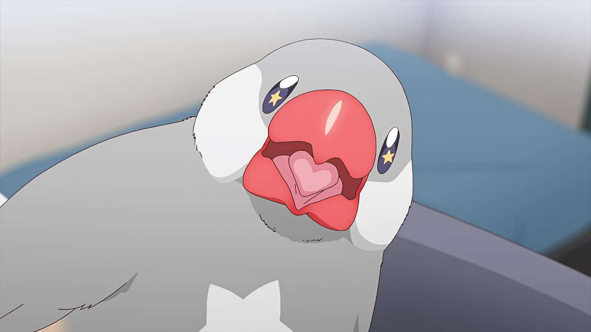 2024年の冬アニメなにが面白かった？