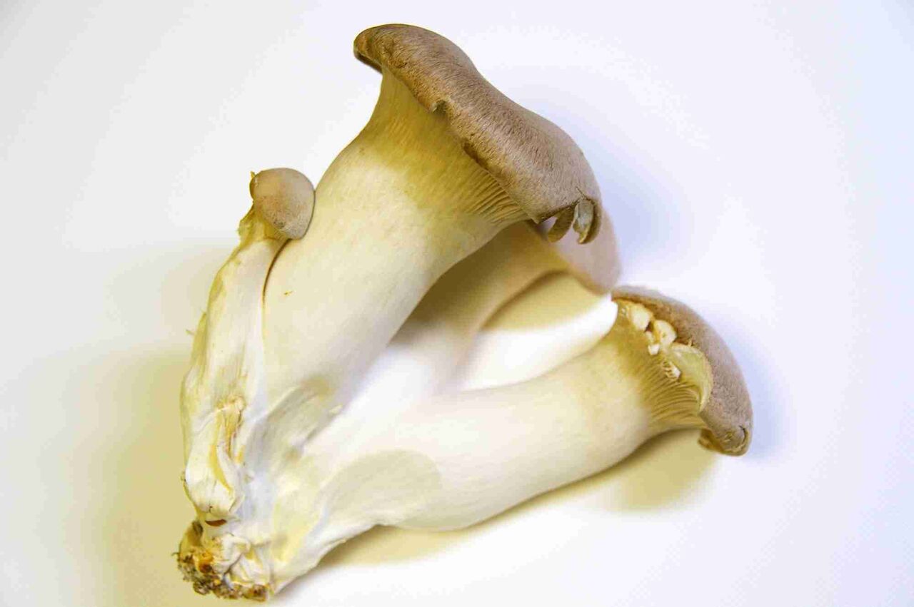 「そういえば子どもの頃エリンギって無かったよな」→意外と最近普及したやつだったという衝撃