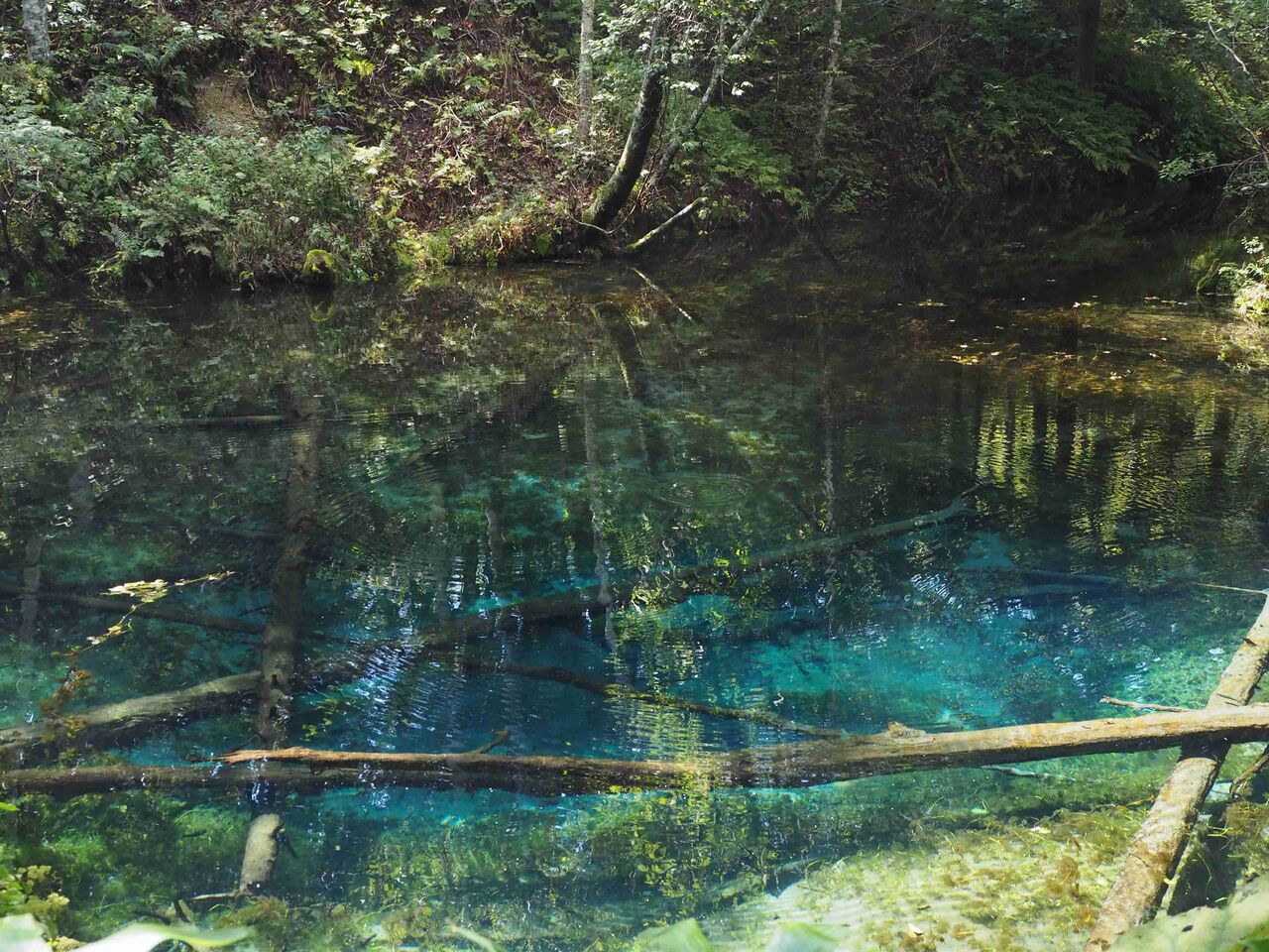 観光地の加工無しの写真が見たい！！