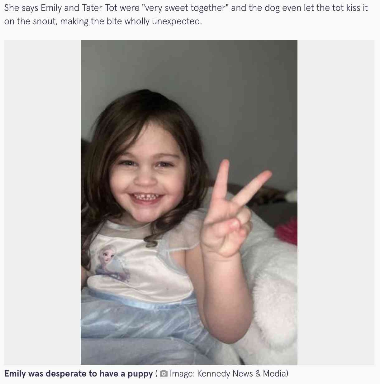 動物保護施設から引き取った犬、翌日に3歳女児に襲いかかり頬を噛みちぎる（米）