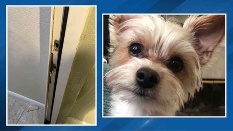 「埼玉都民」子育て支援で東京と格差…「友人にまだ給食費払ってるんだと言われる」「隣り合った自治体なのに支援の差は明らか」