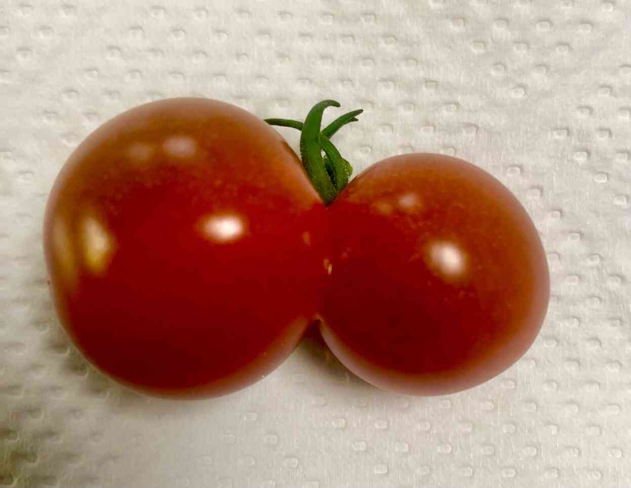 持ってる物を自慢するトピ