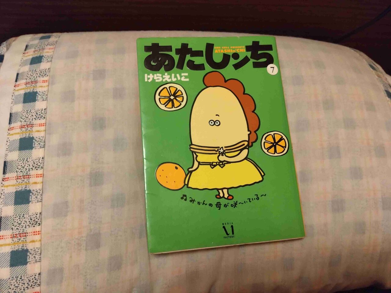 あたしンち大好き