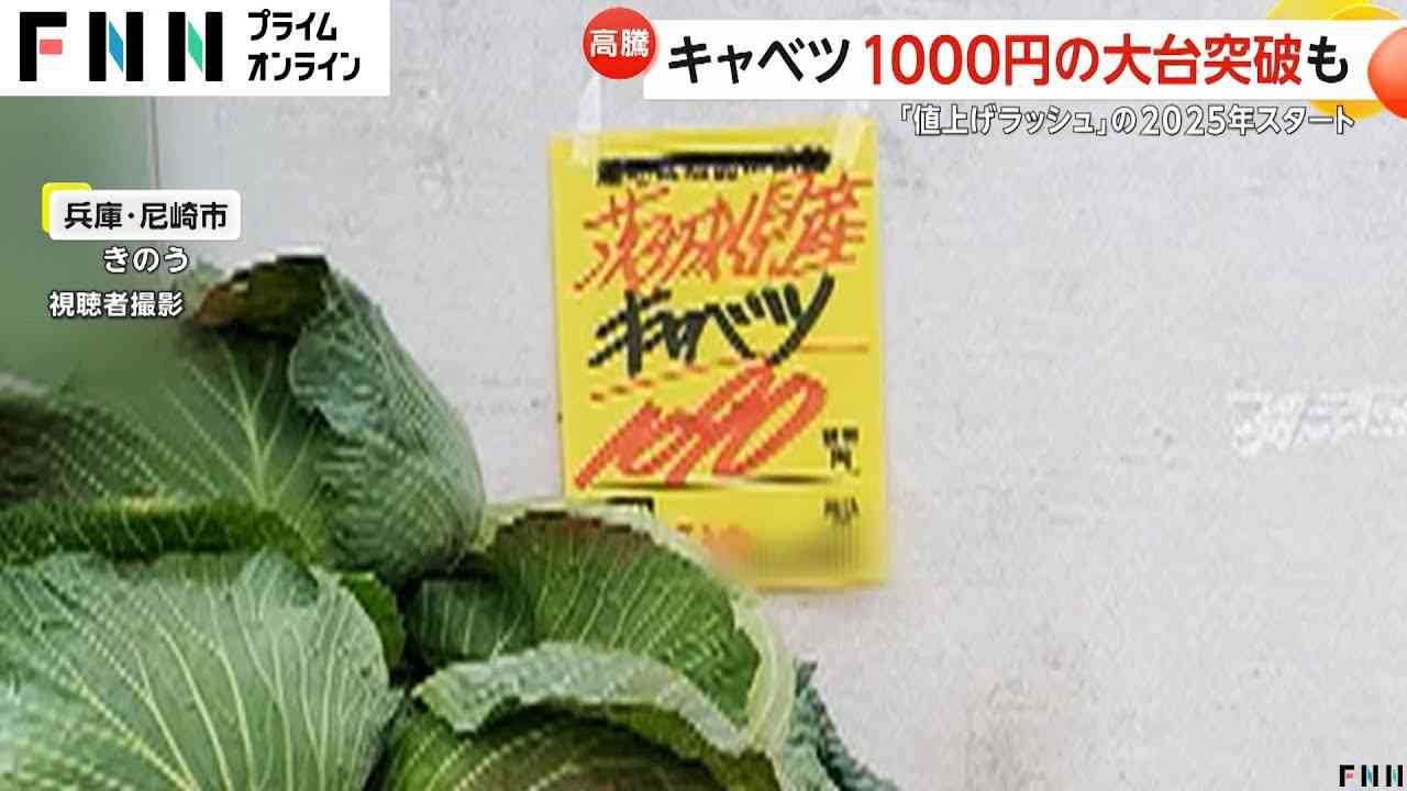 キャベツ1玉1000円の大台突破も…とんかつ店店長「豚肉より高い」悲鳴　6日にまとまった雨も農水省「当面今の状況続く見通し」