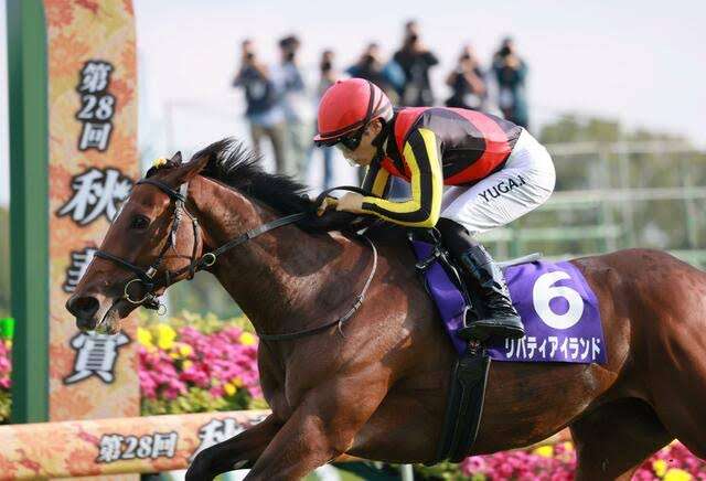 競馬について知っていること