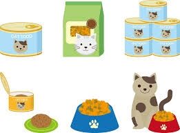 猫ちゃんのご飯何をあげていますか？