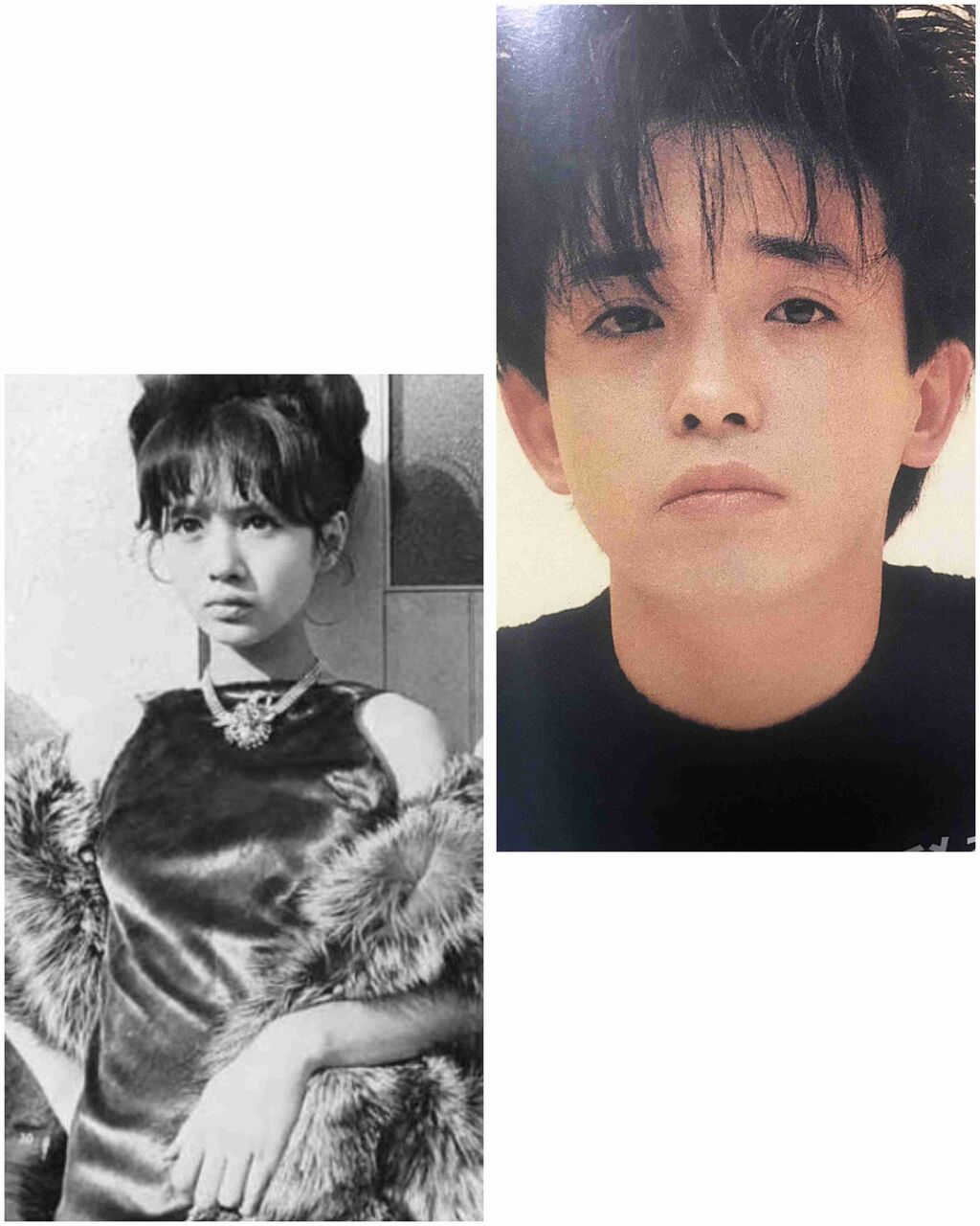 この世代に生まれてたらファンになってただろうなって芸能人