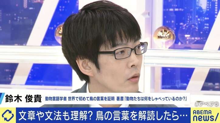 世界初「鳥の言葉を証明」 注目の研究者に聞く、動物たちは何をしゃべってる？ 「人間中心の先入観から脱却して世界を見直すべし」