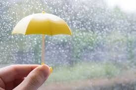 雨は好きな方ですか？嫌いな方ですか？