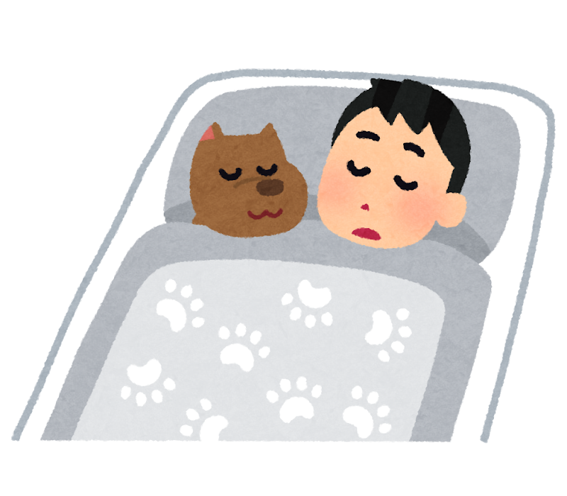 保護者と同じ寝室だったのは何歳まで？今も一緒？