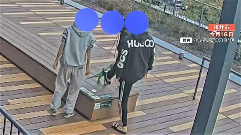【悪質】福井の象徴・総額1億円の“恐竜”をキック！破壊行為の一部始終　修復には数百万円必要か「大変悲しく残念」