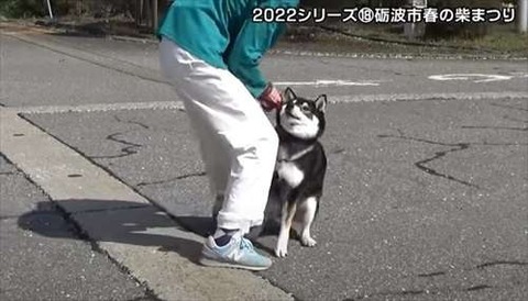 エセ関西弁ってムカつきますか？