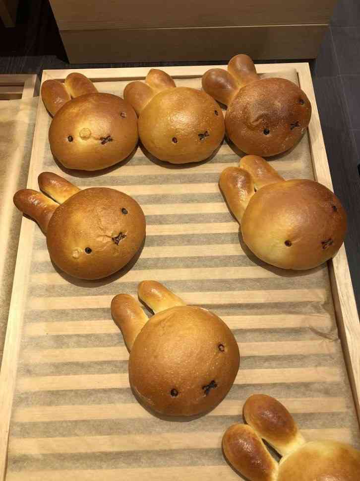 とにかく可愛いものが見たい