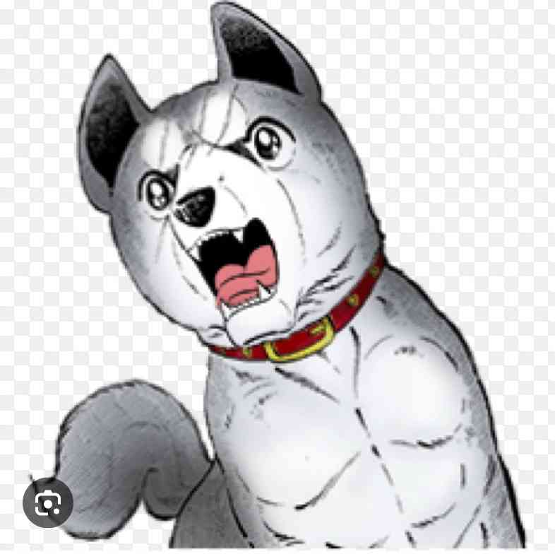 銀牙ー流れ星　銀ーを読んでる人、読んだ事ある人