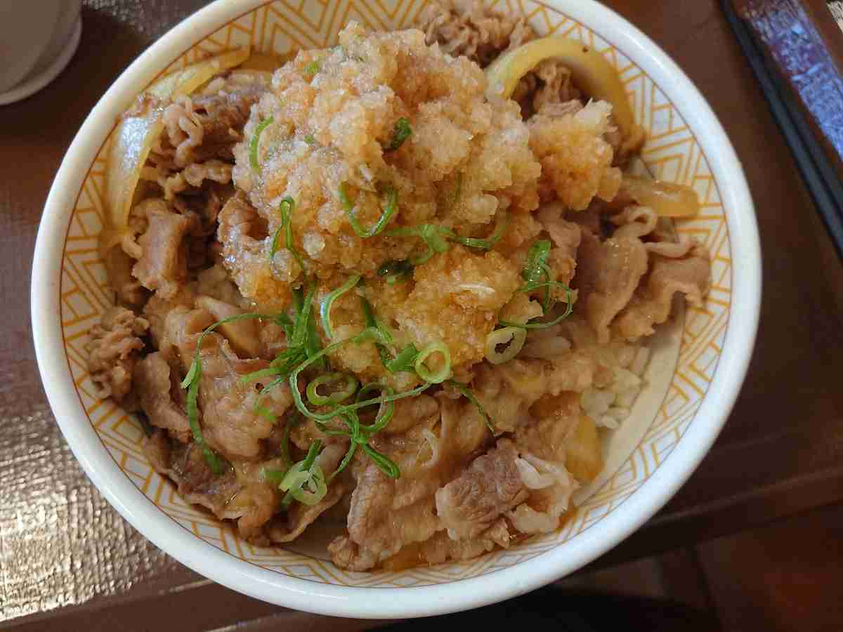 すき家で好きなメニュー、好きだったメニュー