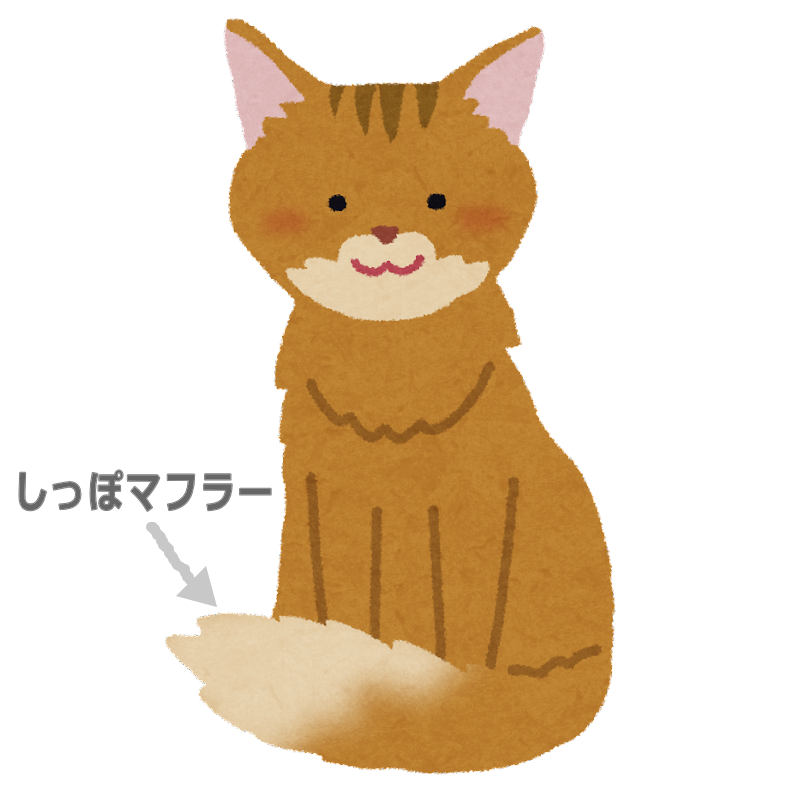 猫のしっぽマフラー姿が見たい【画像】