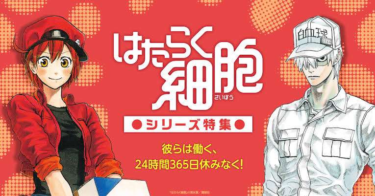 何だかんだありつつ、人の体ってすげぇなって思う瞬間