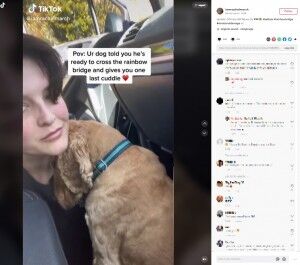 死期を悟った犬、安楽死前に家族に最後のハグ（豪）