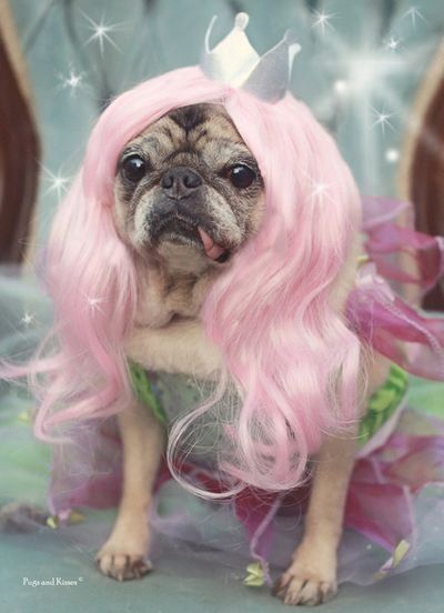 【ガールズちゃんねる】『ガール』の定義って、何だと思いますか？