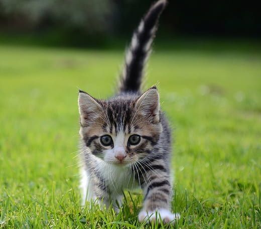 第5回・全日本アマチュアぼっち連絡協議会