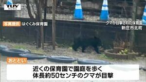 「ついにここまで来たか」市街地や保育園の園庭を歩く姿も… 体長50センチのクマ1頭を捕獲 （山形・新庄）