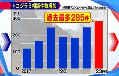 韓国などで拡大「トコジラミ」日本にも襲来か 専門家「つぶすのはNG、熱や洗濯が有効」海外旅行での対処法は?