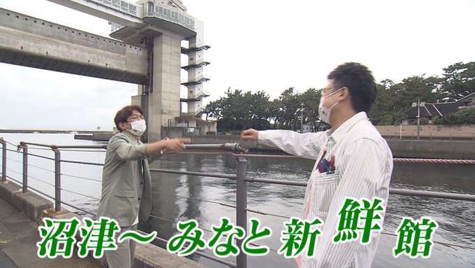 静岡県民にオススメの場所を聞きたい！（一人旅）