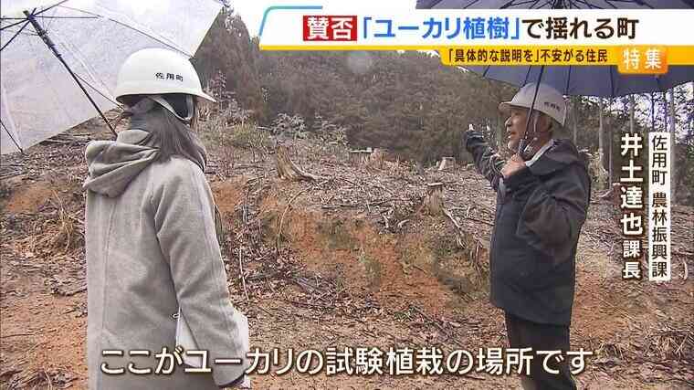 ユーカリ植樹に賛否　町の狙いは『放置される森林を買い取り...早く育つユーカリ植えて建材や燃料に』一方で住民は『全国で杉やヒノキは失敗』『生態系への影響は？』