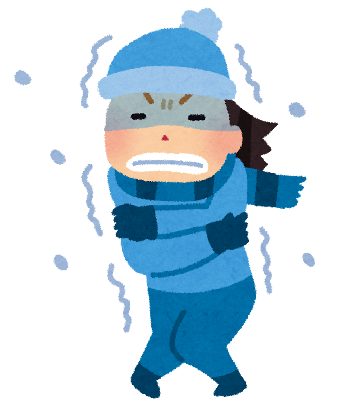 雪国住んでるけど今年の冬を越えられる自信がない