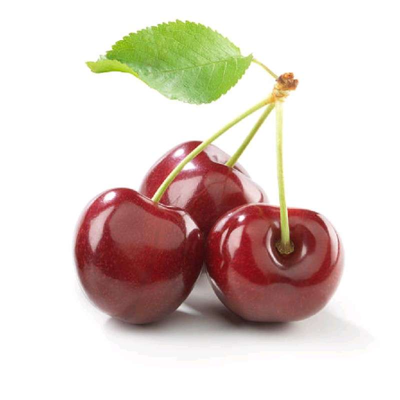 いまあなたを支えているもの