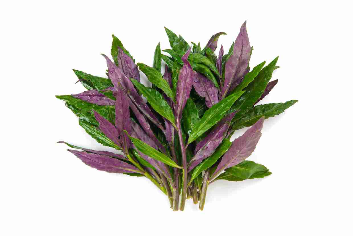 地元でしか見かけない食材