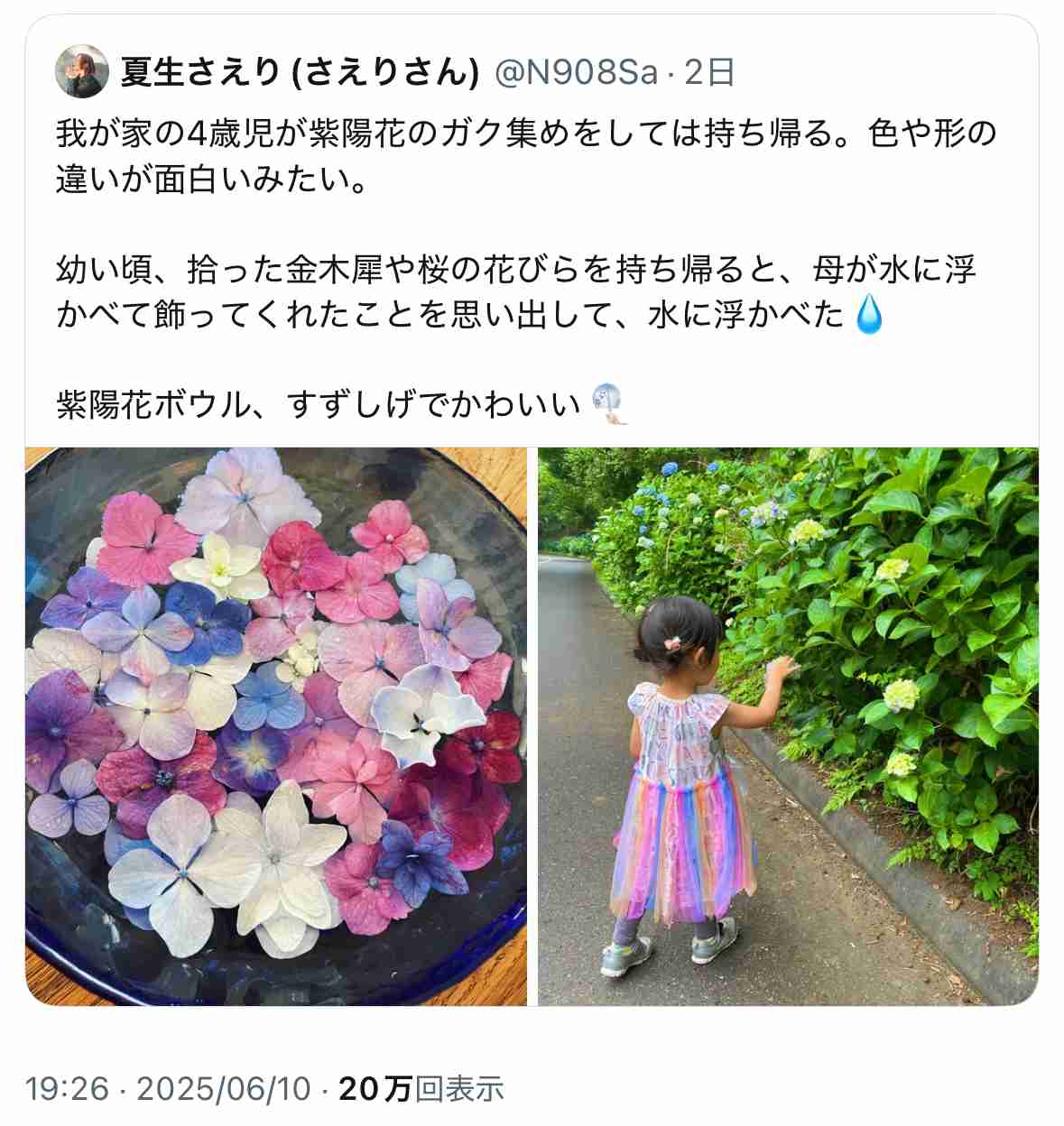 道に咲いている花をちぎるのは非常識？
