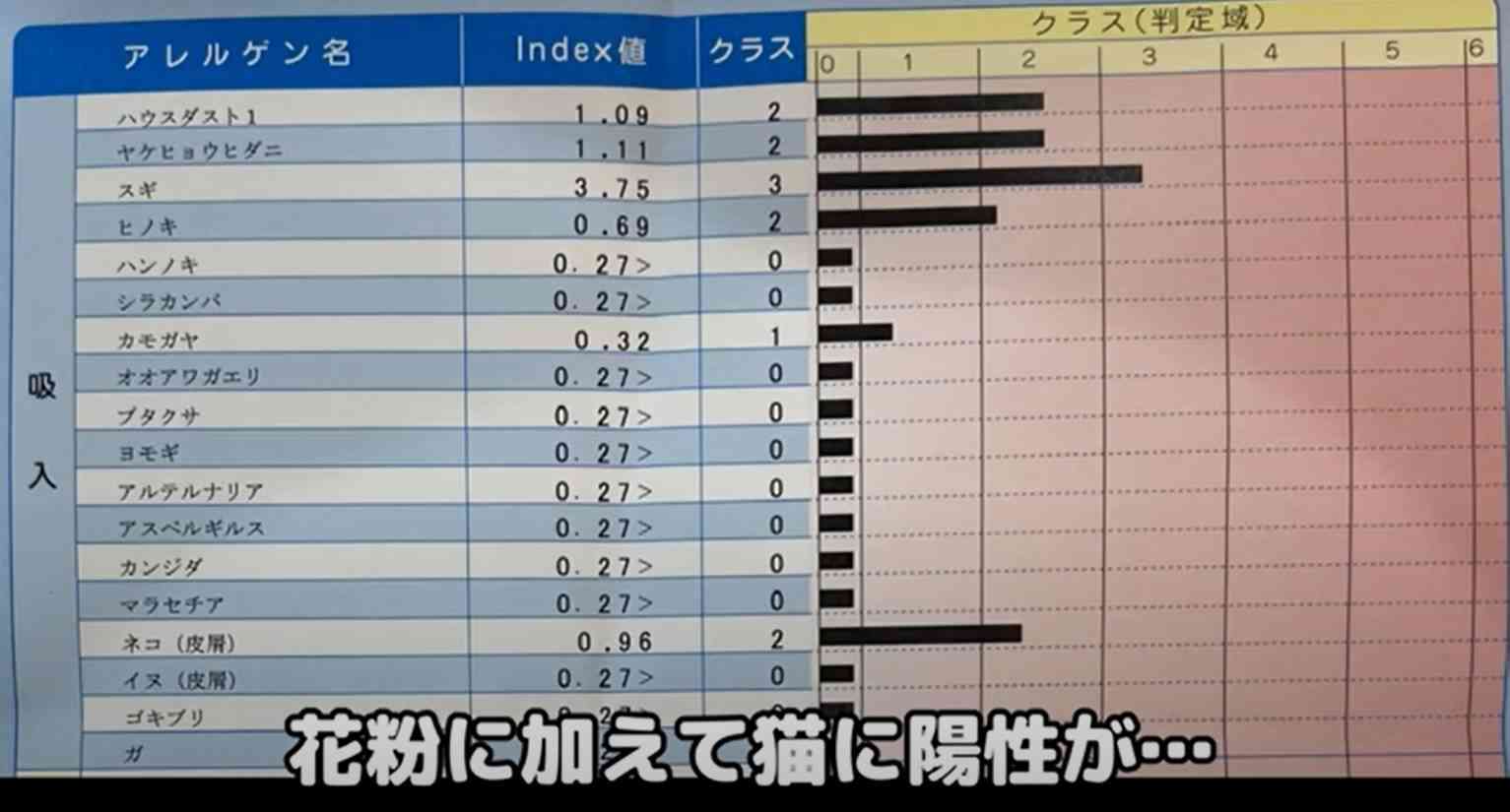 猫YouTuber「もちまる日記」、猫アレルギーが判明