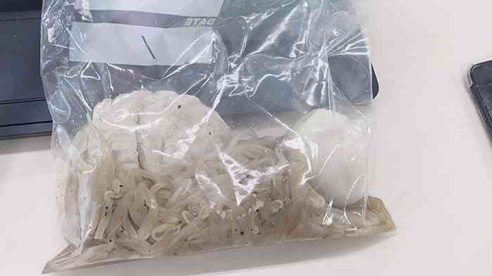 会社のおじさん「生ゴミ食べてるの？」　女性の弁当に「声出して笑った」「これは仕方ない」