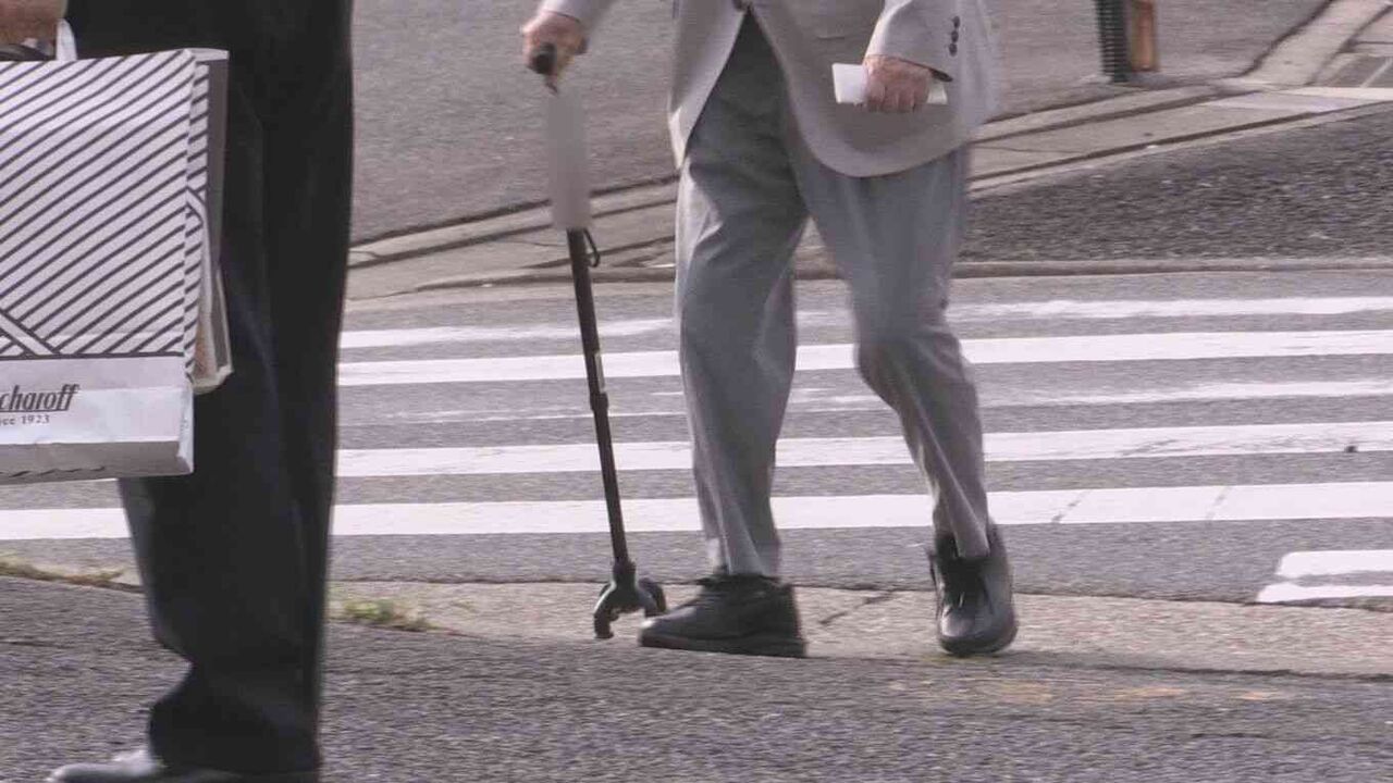 犬ひき逃げの運転手は杖つく91歳男性「全く覚えていない。車は自動ブレーキで最新」 高齢ドライバーの言い訳と女の子の涙