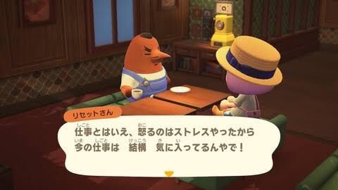 次回作の『どうぶつの森』への要望