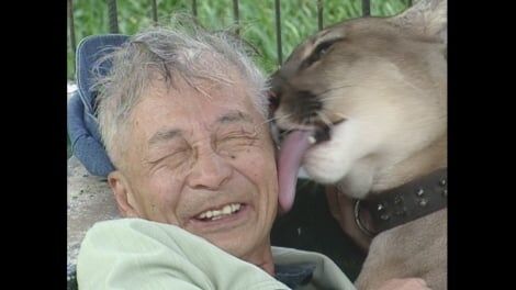 ムツゴロウさん追悼番組の衝撃映像が話題 ジャガーやアナコンダ、ヒグマと触れ合う様子に「超人」「襲われてたよな…?」