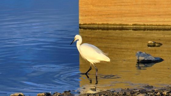 合成みたいに見える画像