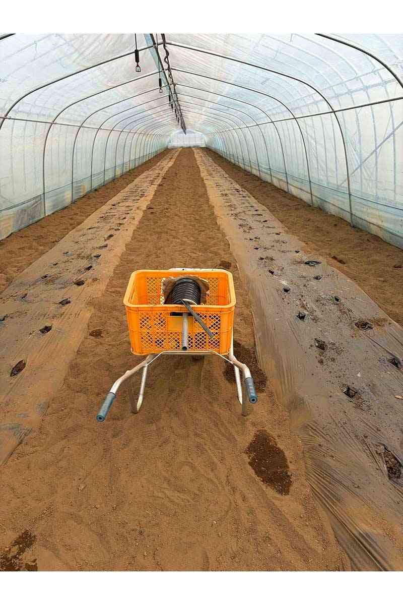 「こんな日本に誰がした！」ミニトマト2500株、総額180万円が盗難被害　農家の涙にネット怒り