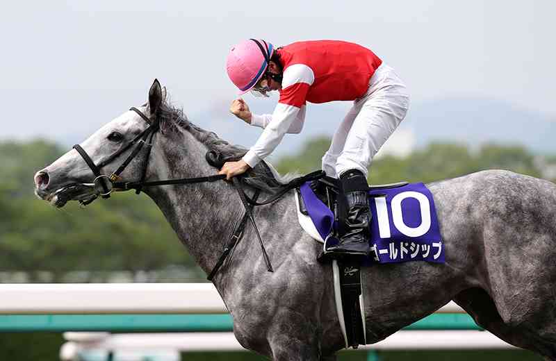 【午年】競馬について語ろう【初心者もベテランも】