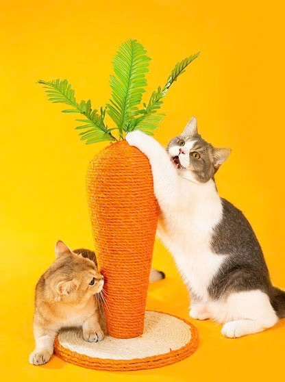 最近ビックリしたこと