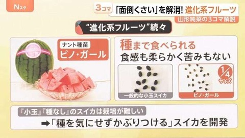 カレーライスの時におかずっている？