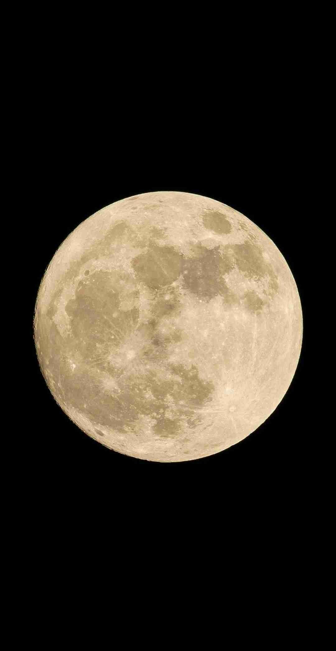 自分が悪魔だと思う事ってありますか？