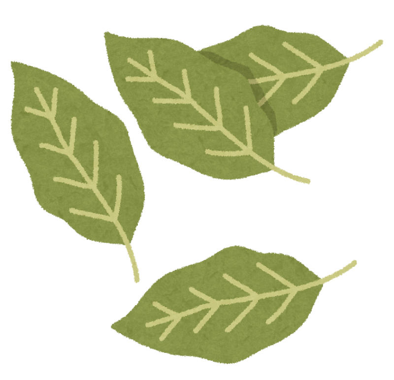 香る植物をあげていこう草花・樹木