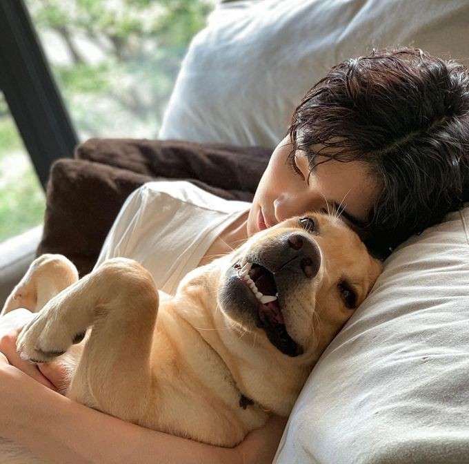 イケメンと動物の画像