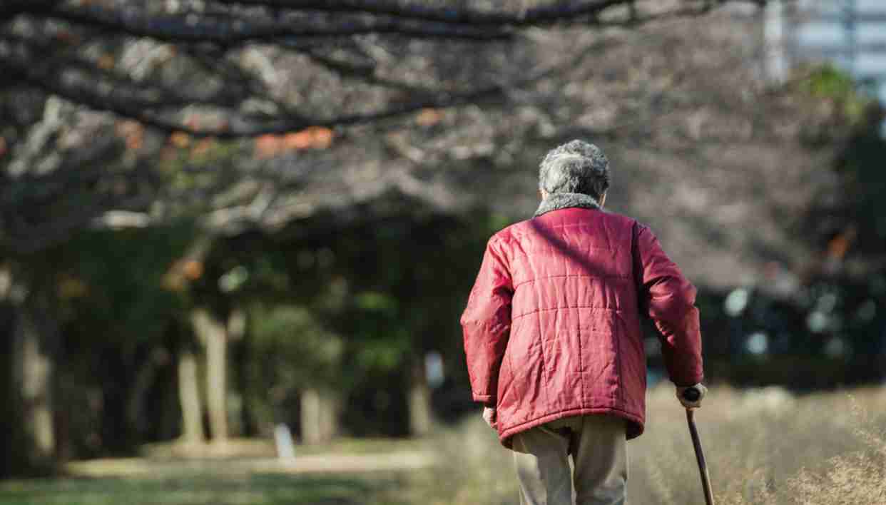 増加する単独高齢女性とその暮らし…平均年収は男性より約70万円低く、3割が年収150万円未満