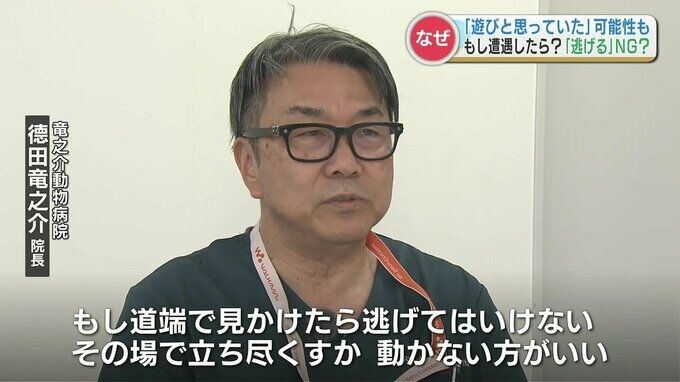 男児(4)をかんだのは『闘犬』左胸から脇腹にかけて6か所を縫うけが　目撃者「土佐犬かなと思った」飼い主「首輪を忘れ逃げ出した」かまれそうになった時の対策は『動かないこと』