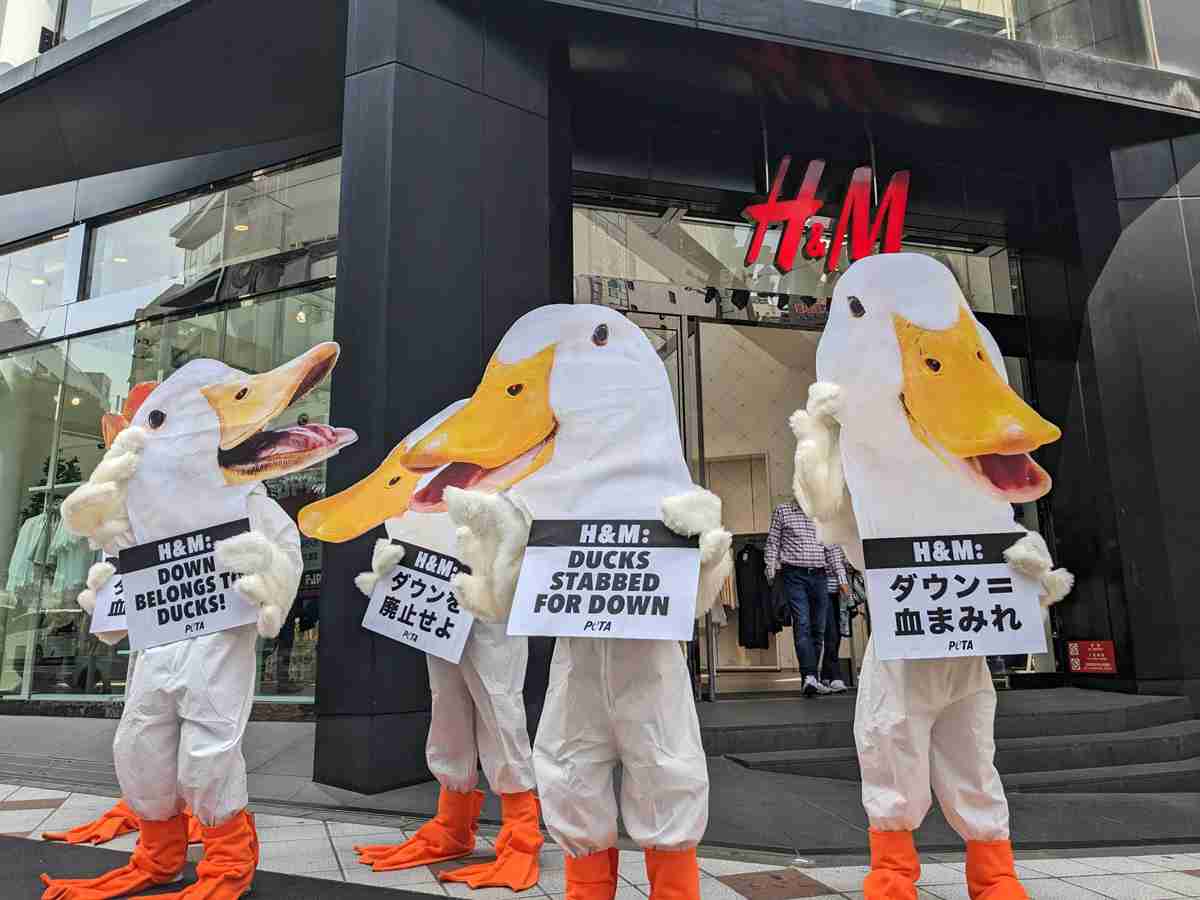 「ダウンを廃止せよ」　H&M渋谷店で動物愛護団体が抗議