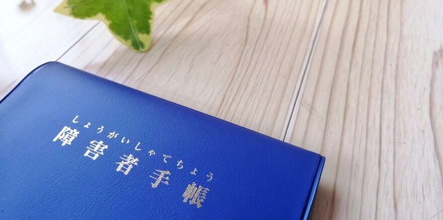 障害年金にケチをつける人