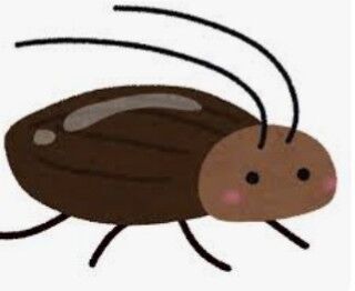 【写真貼るのNG】なぜ、人間はゴキブリを恐れるのか